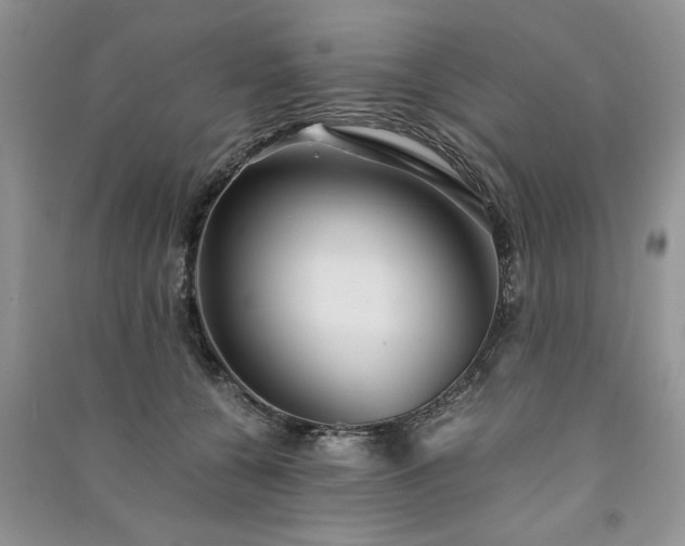 X0000091080560200708131259