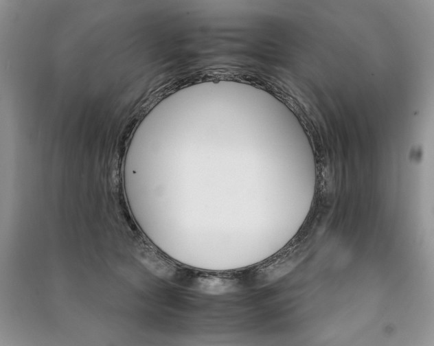 X0000091080561200708131259