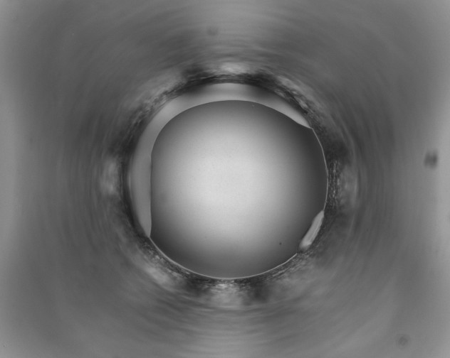 X0000091080562200708131259