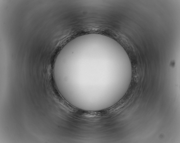 X0000091080563200708131259