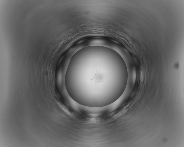 X0000091080564200708131259