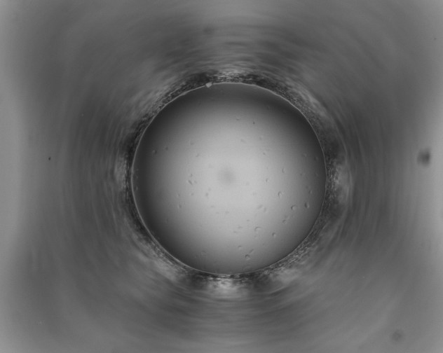 X0000091080565200708131259