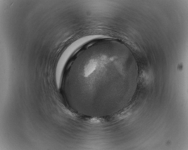 X0000091080566200708131259