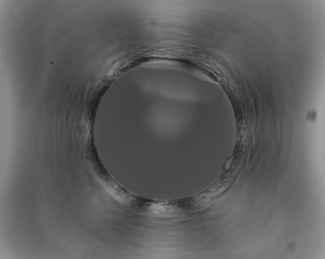 X0000091080568200708131259