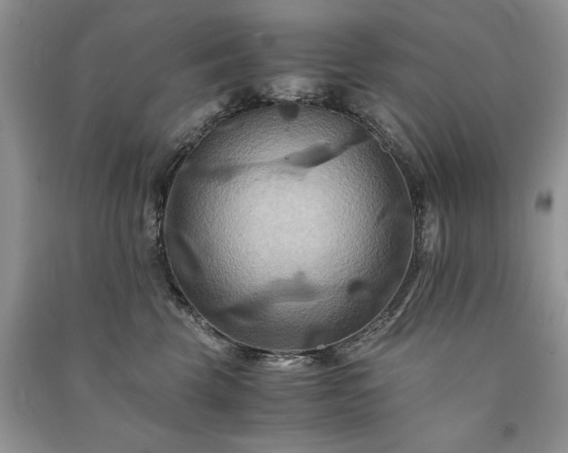 X0000091080569200708131259