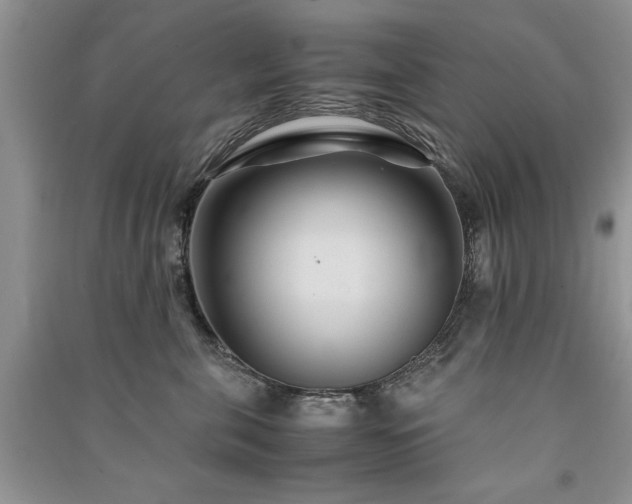 X0000091080571200708131259