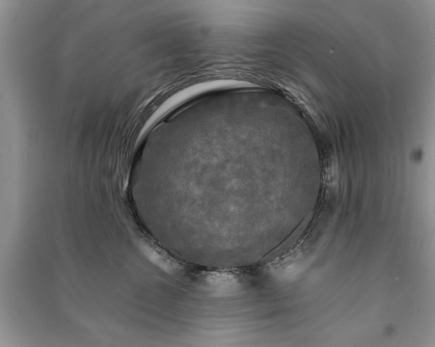 X0000091080572200708131259