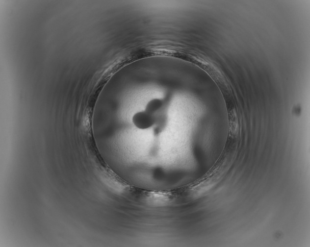 X0000091080573200708131259