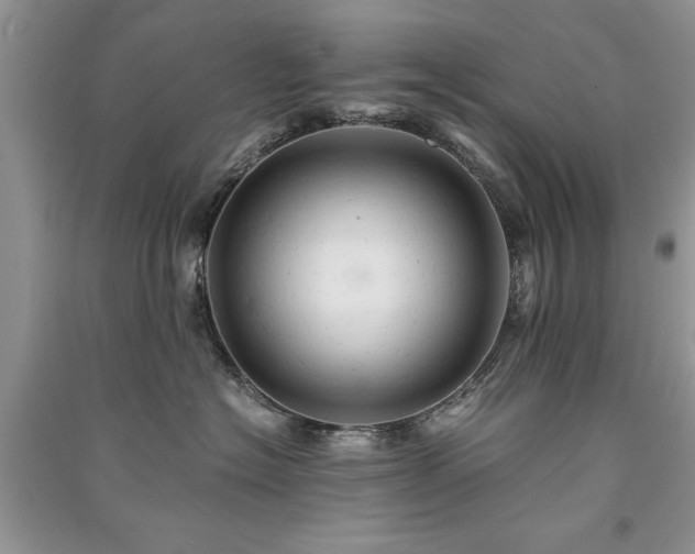 X0000091080574200708131259