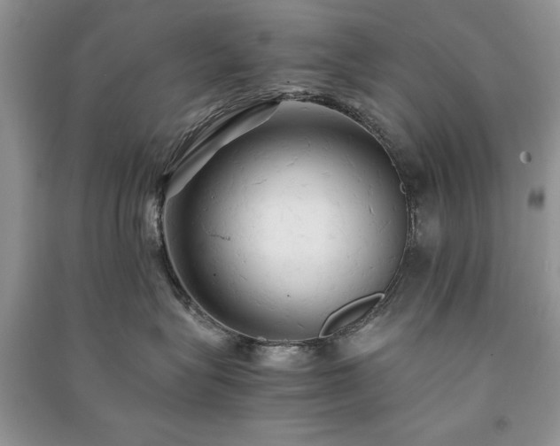 X0000091080575200708131259