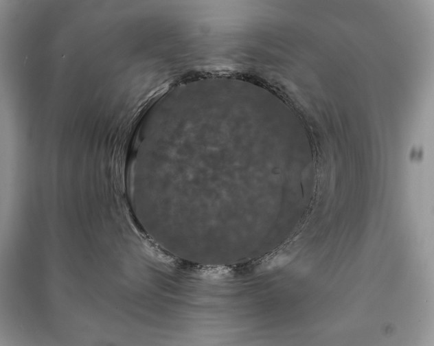 X0000091080576200708131259