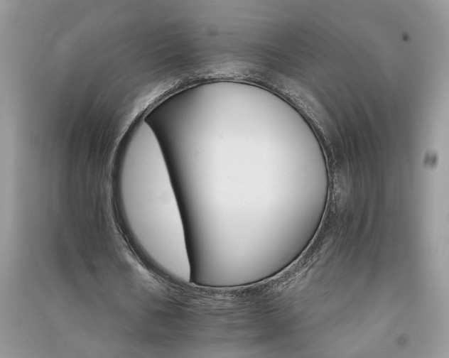 X0000091080578200708131258