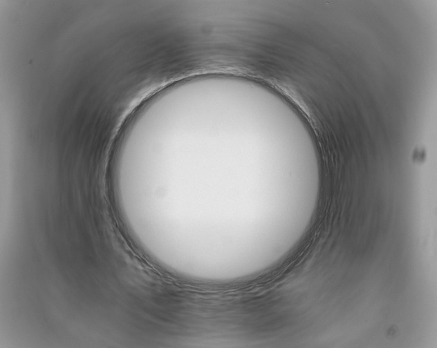 X0000091080579200708131258