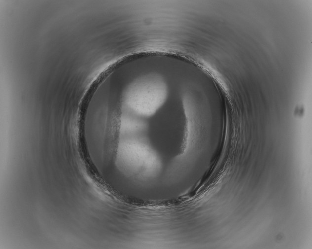 X0000091080580200708131258