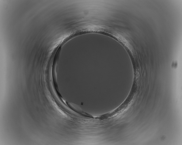 X0000091080581200708131258