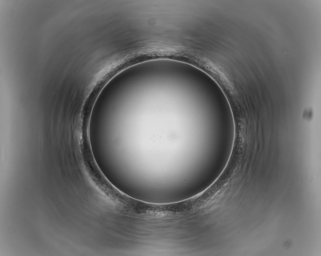 X0000091080582200708131258