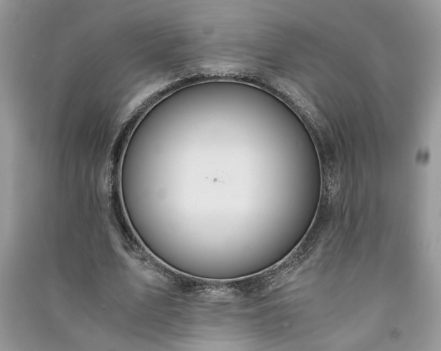 X0000091080583200708131258