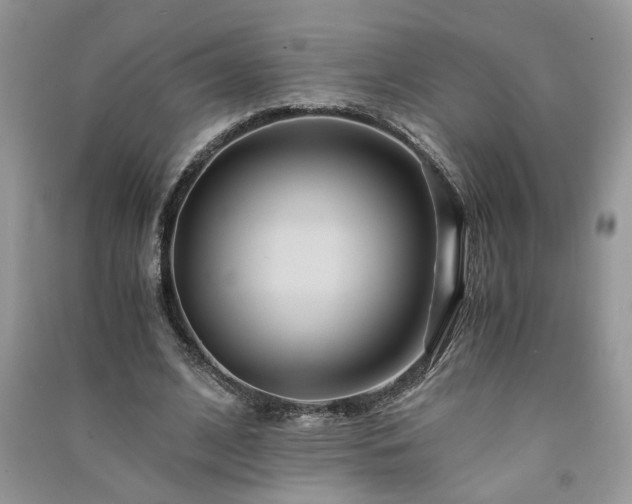 X0000091080584200708131258