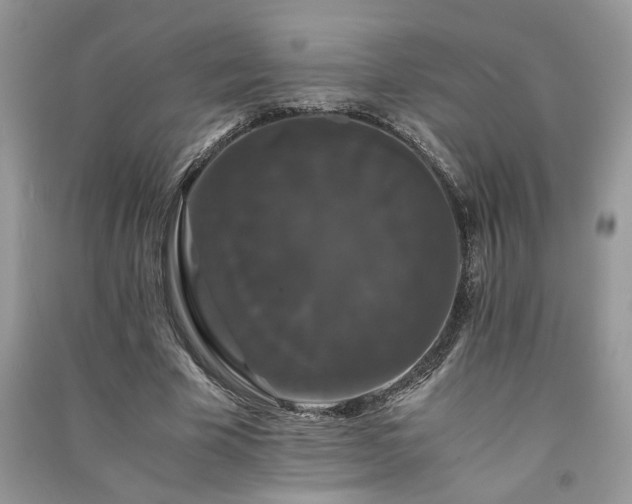 X0000091080585200708131258