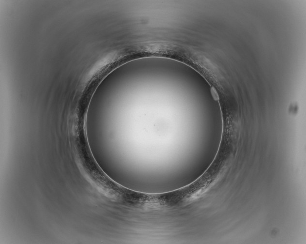 X0000091080587200708131258