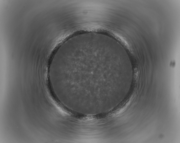 X0000091080589200708131258