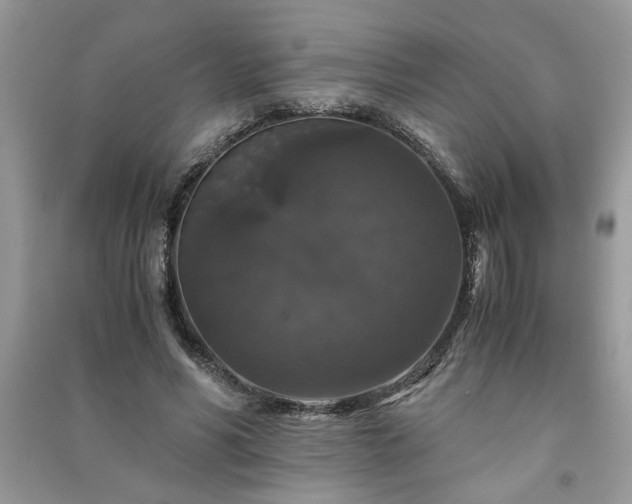 X0000091080590200708131258