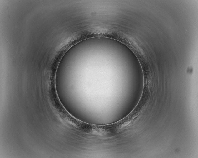 X0000091080591200708131258