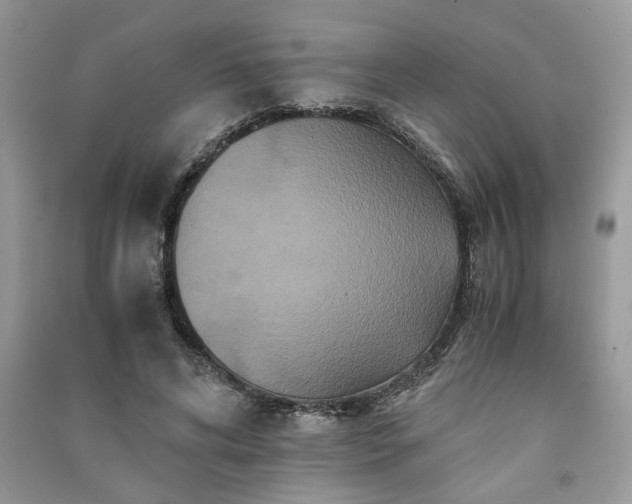 X0000091080592200708131258