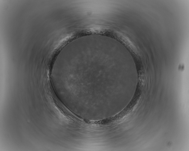 X0000091080593200708131258