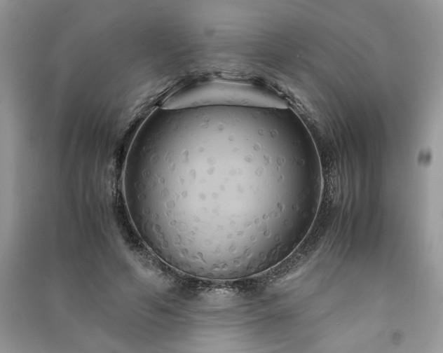 X0000091080594200708131258