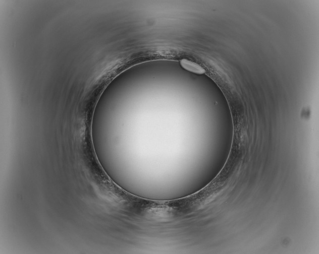 X0000091080595200708131258