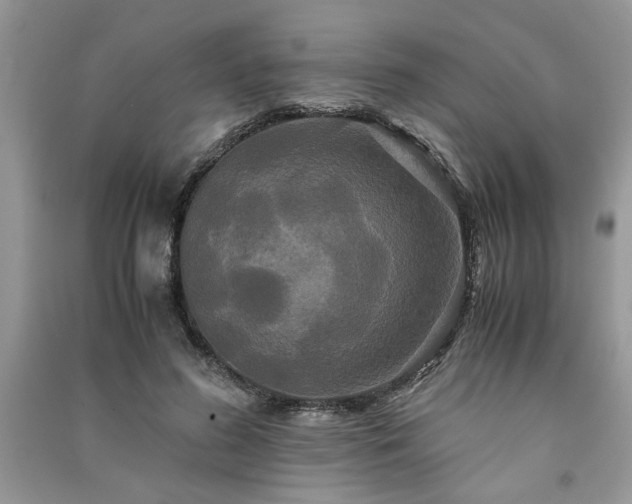 X0000091080596200708131258