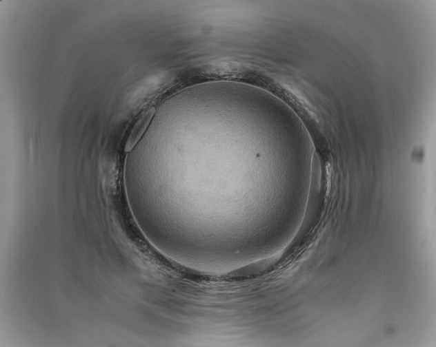 X0000091080597200708131258