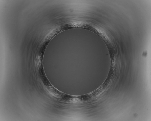 X0000091080598200708131258