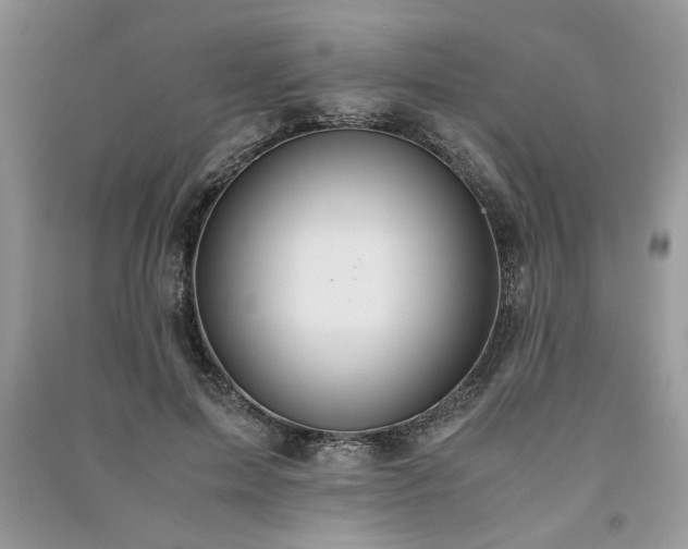 X0000091080599200708131258