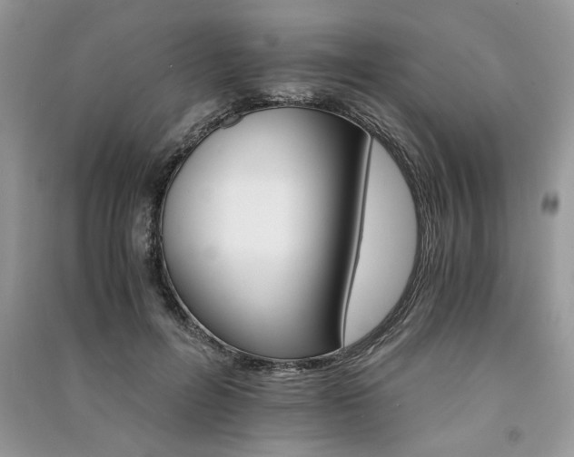 X0000091080600200708131258