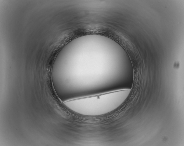 X0000091080601200708131258