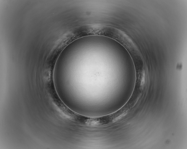 X0000091080602200708131258