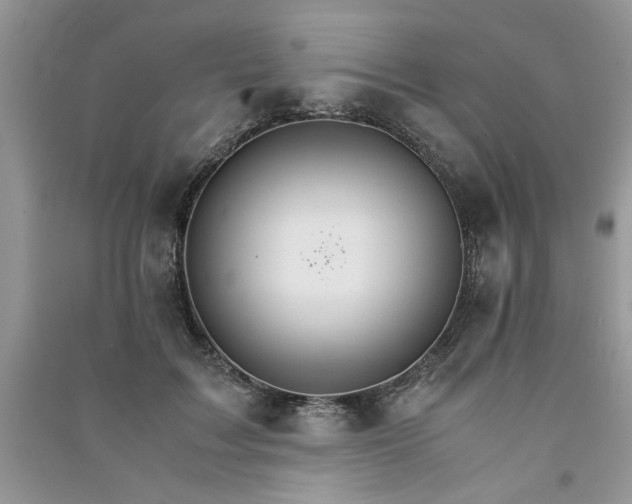 X0000091080603200708131258