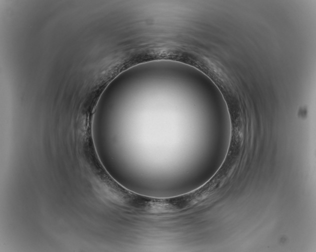 X0000091080605200708131258