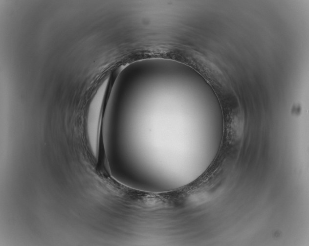 X0000091080608200708131258