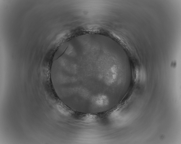 X0000091080609200708131258