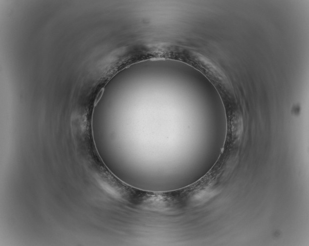 X0000091080611200708131258