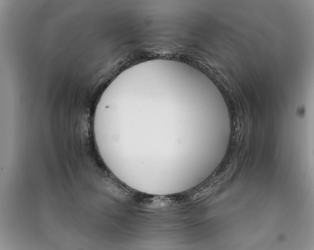 X0000091080612200708131258