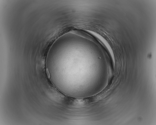 X0000091080613200708131258