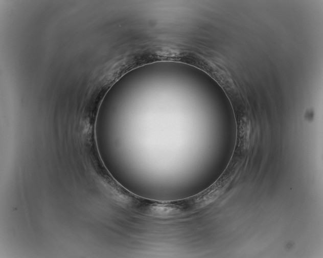 X0000091080614200708131258