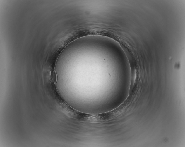 X0000091080615200708131258