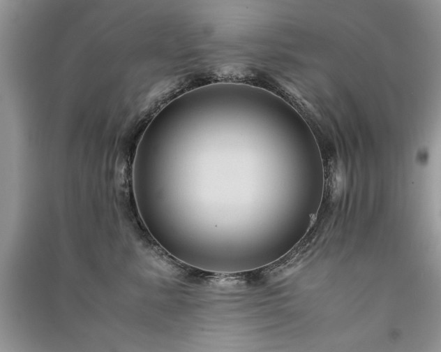 X0000091080619200708131258