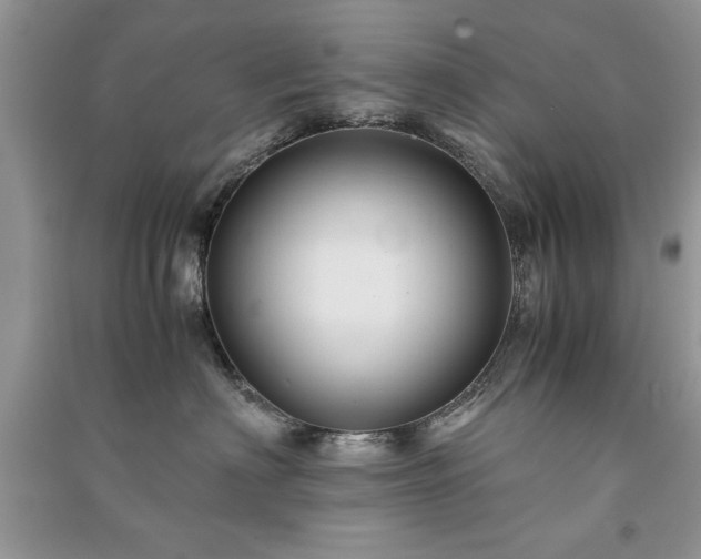 X0000091080622200708131258