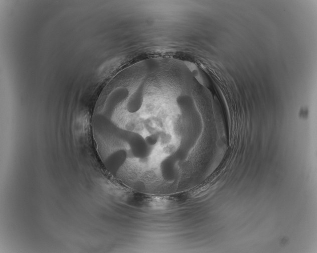 X0000091080623200708131258